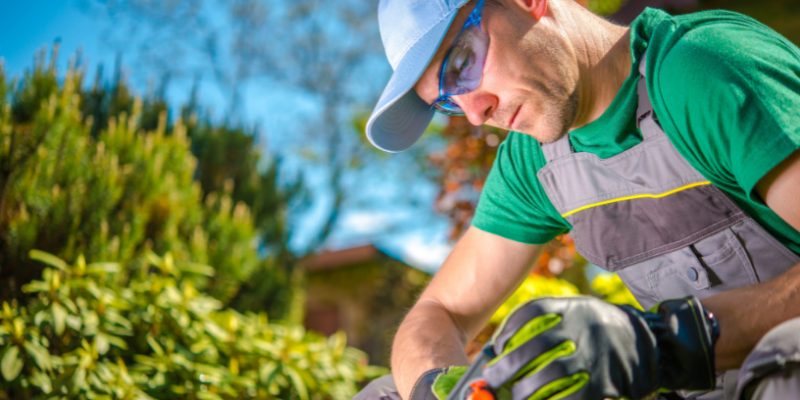 Semae Trabalha para Restabelecer Abastecimento de Água 17 page 3 3