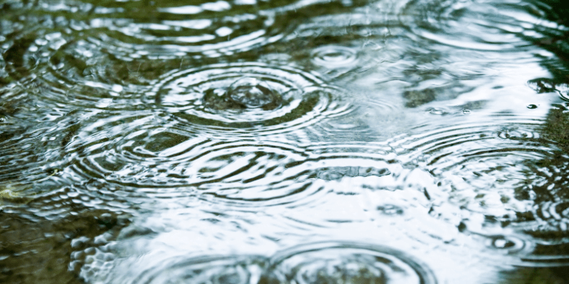 ec 2024 08 19T081832.141