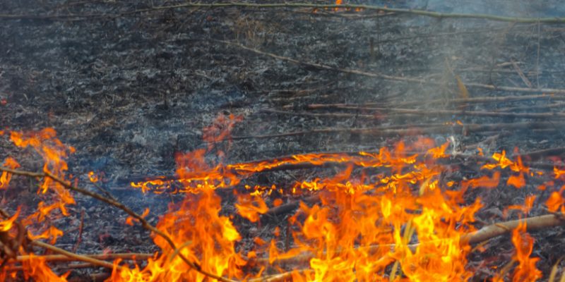 Dimensões personalizadas 816x459 px 69