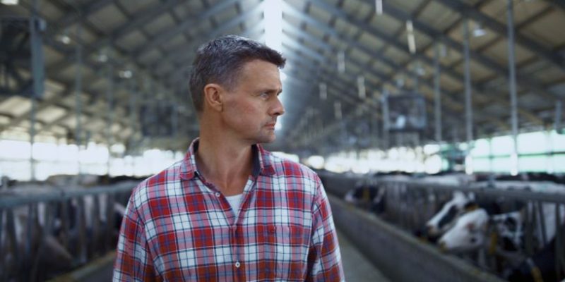 O que é a integração lavoura-pecuária-floresta? Saiba com o agricultor Agenor Vicente Pelissa! 18 Agenor Vicente Pelissa