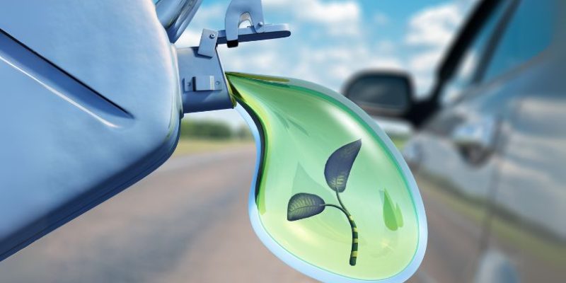 A energia do futuro: entenda as vantagens do uso de biocombustíveis 18 Daniel Tarciso da Silva Cardoso