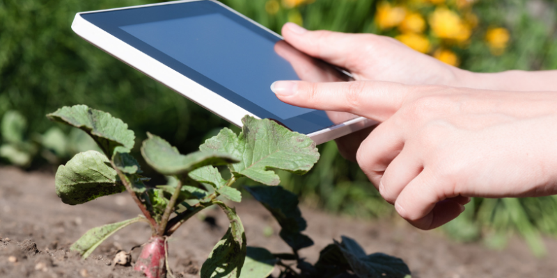 Tecnologias Inovadoras para Criar uma Horta Inteligente em Casa 17 Design sem nome 12