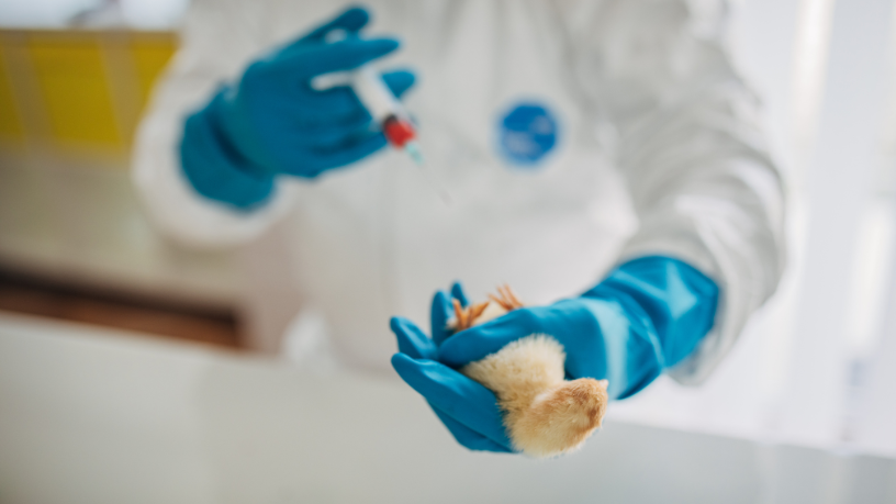 Tecnologia e prevenção se unem em Mogi das Cruzes para enfrentar risco da gripe aviária 20 Design sem nome 3