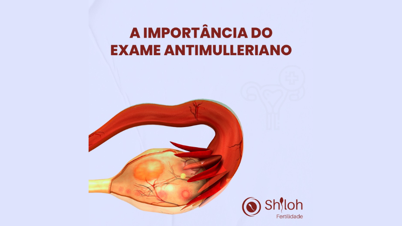 A influência dos microRNAs no endométrio: Moléculas que podem definir o sucesso da gestação 18 A relação entre microRNAs e fertilidade feminina é analisada por Oluwatosin Tolulope Ajidahun.