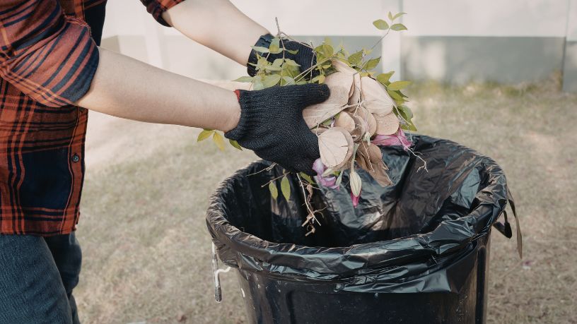 Descarte inadequado de resíduos: Impactos ambientais, riscos à saúde pública e desafios atuais 19 Marcello Jose Abbud