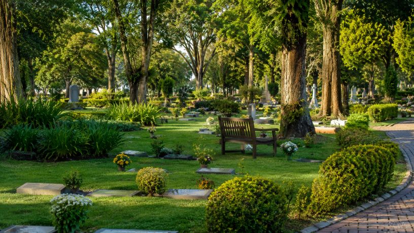 Paisagismo em cemitérios: Veja com Tiago Oliva Schietti como áreas verdes tornam o espaço mais acolhedor 18 Tiago Schietti