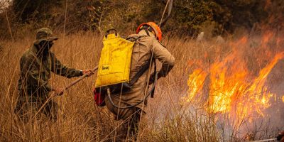 Bombeiros combatem um incêndio em área de vegetação seca.