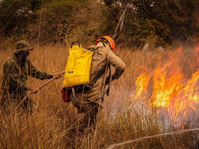 Bombeiros combatem um incêndio em área de vegetação seca.