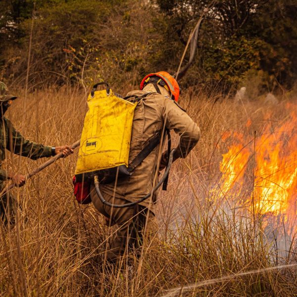 Bombeiros combatem um incêndio em área de vegetação seca.